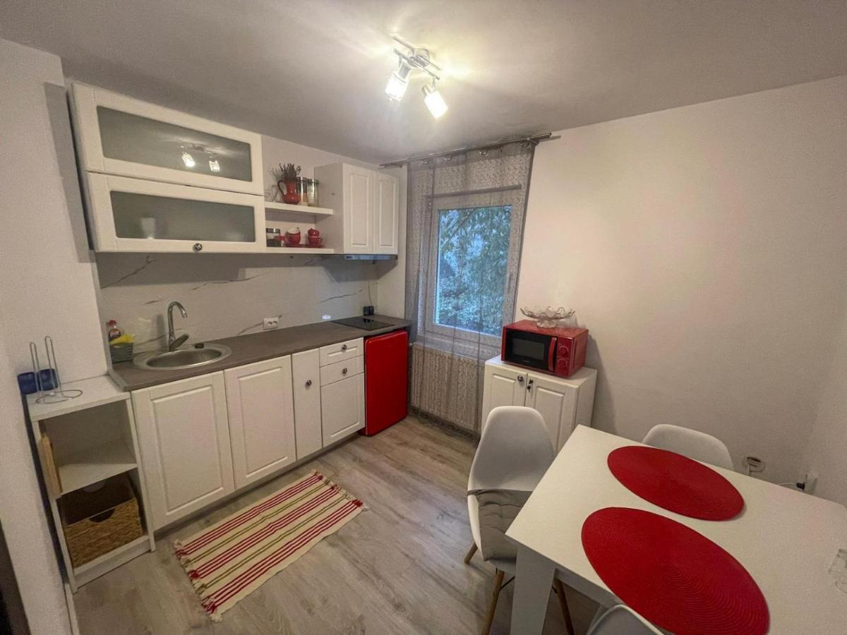 Buzz Apartment Cluj-Napoca Luaran gambar
