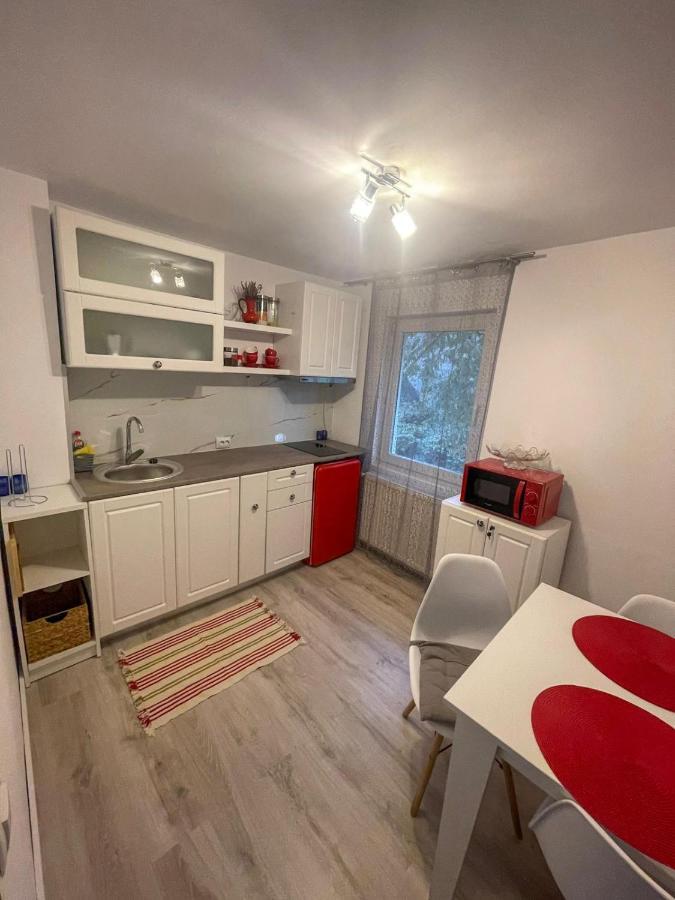 Buzz Apartment Cluj-Napoca Luaran gambar